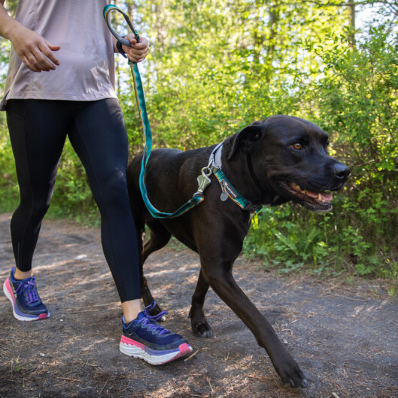 Ruffwear Crag Reflective Dog Collar Seafoam Purple Hound